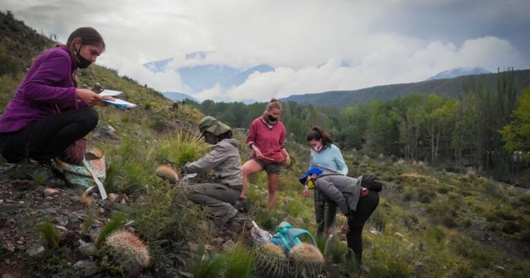 Grupo de mujeres haciendo trabajo de campo como parte de Jornada de Flora Autóctona y Naturalizada​